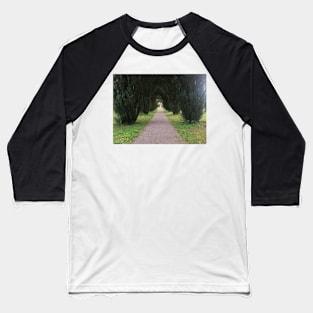 A silent forest Baseball T-Shirt